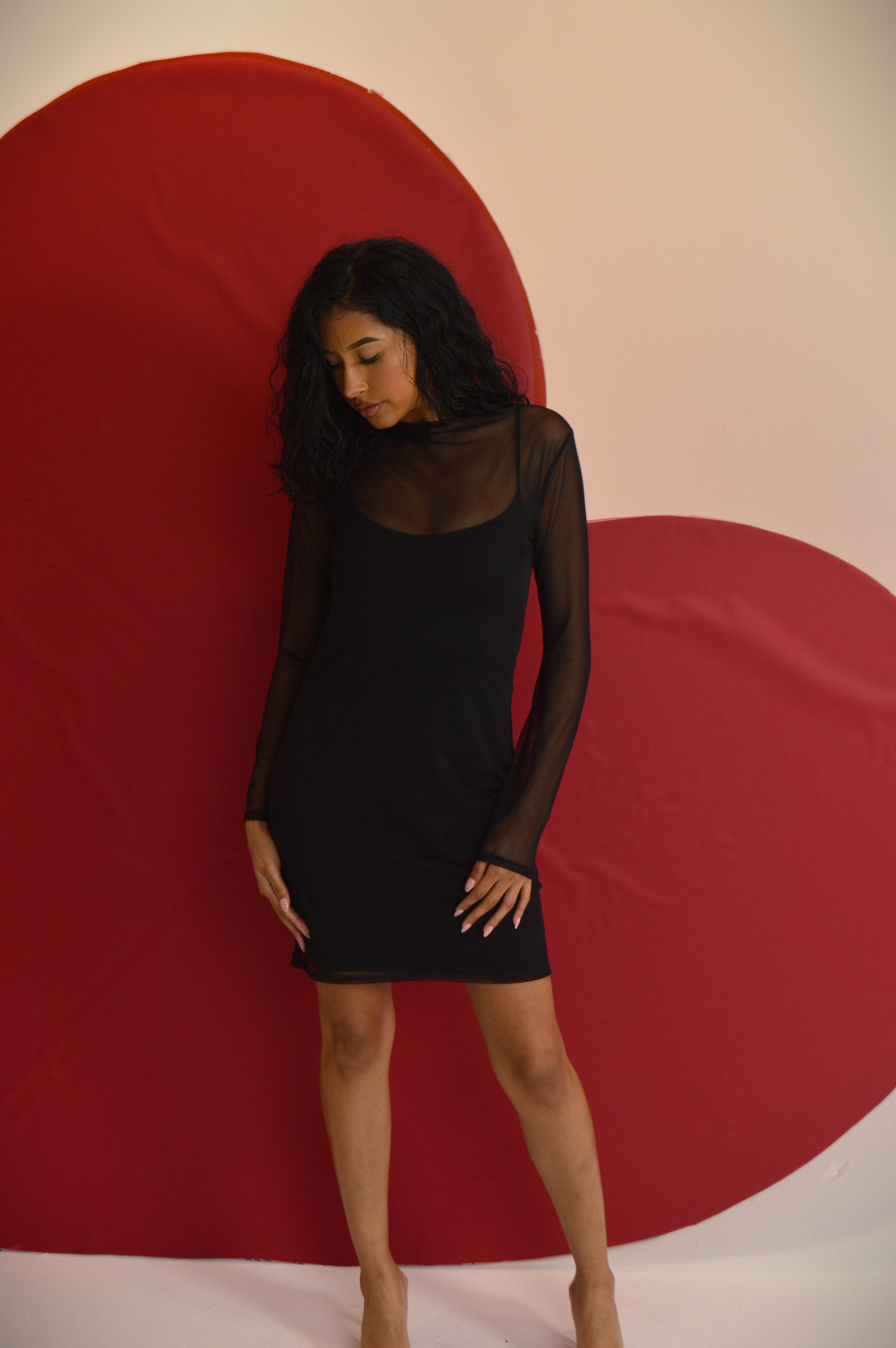 Black Mesh Long Sleeve Dress