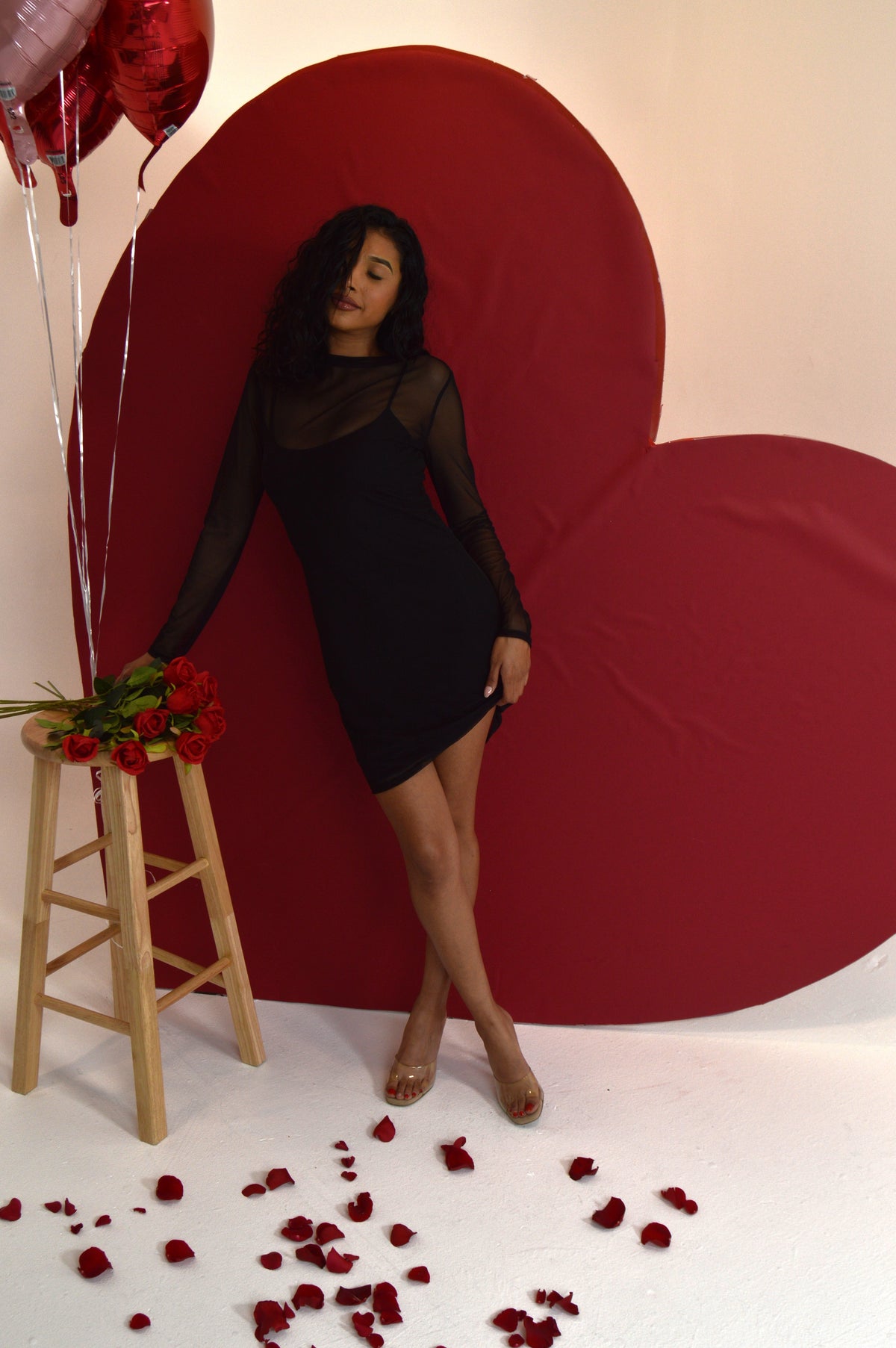 Black Mesh Long Sleeve Dress