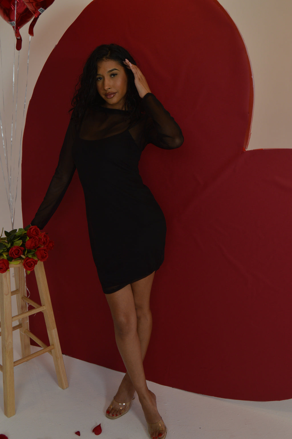 Black Mesh Long Sleeve Dress