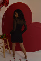 Black Mesh Long Sleeve Dress