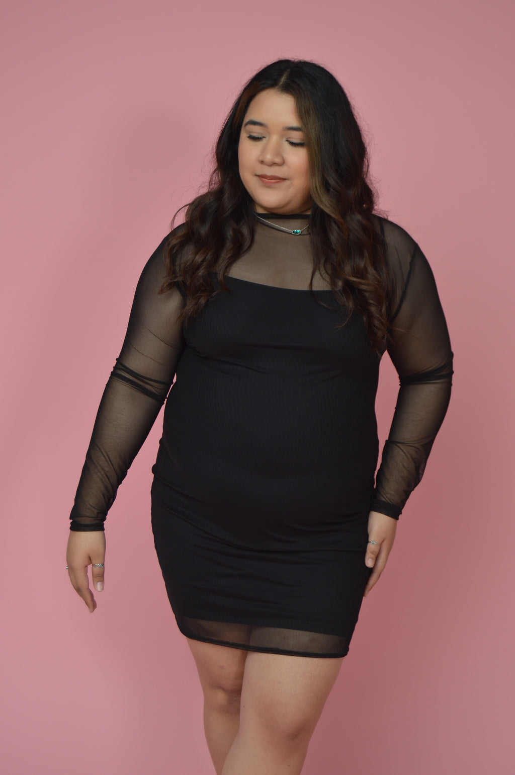 Black Mesh Long Sleeve Dress