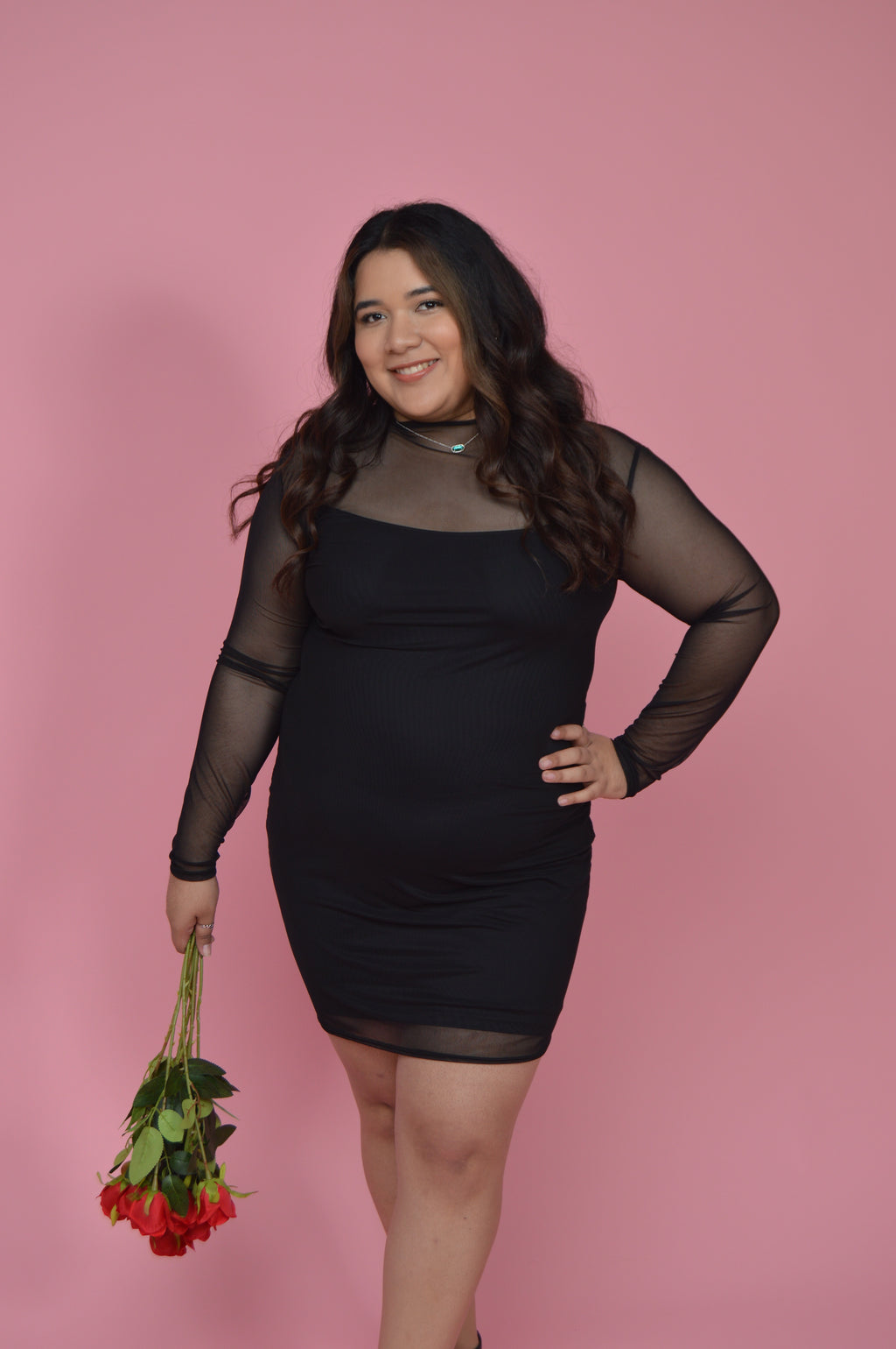 Black Mesh Long Sleeve Dress