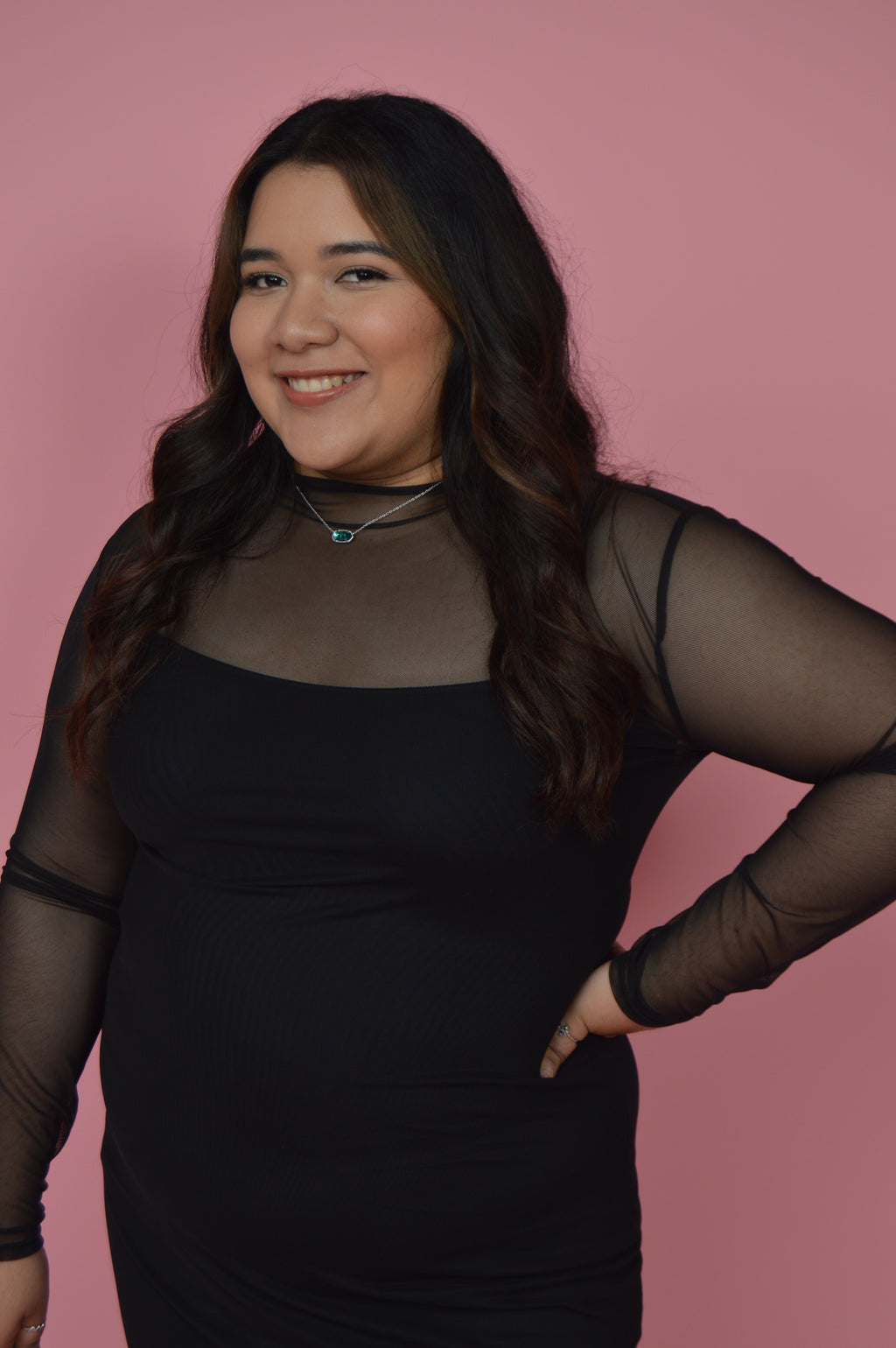 Black Mesh Long Sleeve Dress