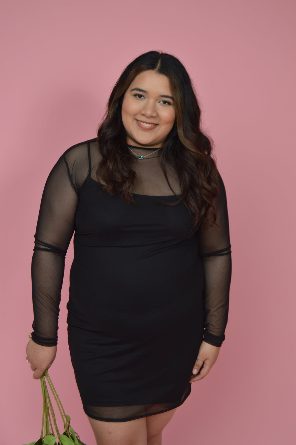 Black Mesh Long Sleeve Dress
